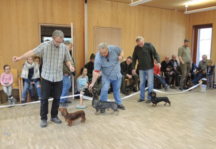 Zuchtschau in Einsiedel - 23. Februar 2019