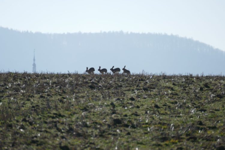 Spurlautprüfung - 14. April 2021 in Abtswind