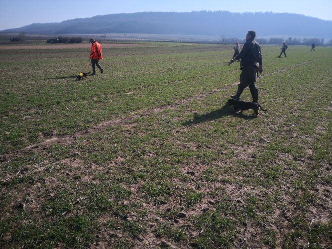 Spurlautprüfung mit Sfk - Großlangheim am 7. März 2026