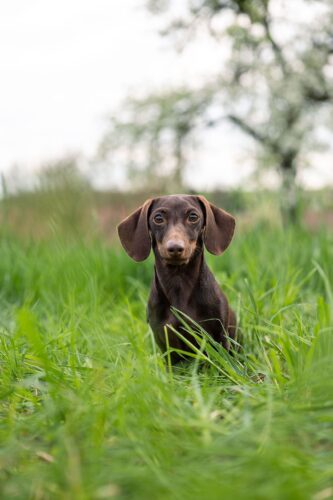 BHP 1-Prüfung – 18. April 2026 in Lindelbach